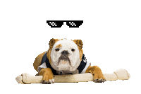 Happy Thug Life Sticker by Butler University