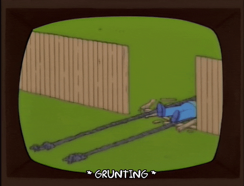 homer simpson GIF