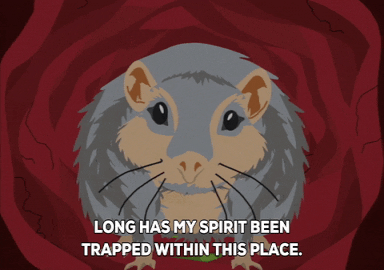 hamster spirit GIF by South Park 