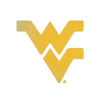 Lets Go College Sticker by WestVirginiaU