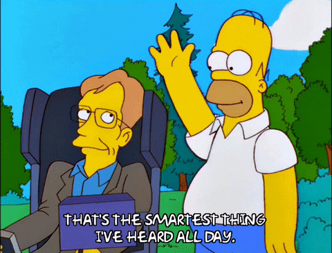 homer simpson episode 22 GIF