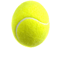 Lil Tennis Ball Sticker by Lucky In Love