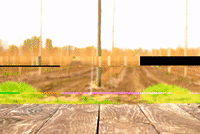 glitch ipa GIF by Rogue Ales & Spirits