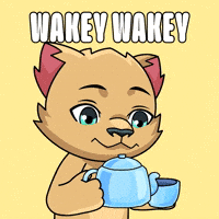 Happy Wake Up GIF by Kabu