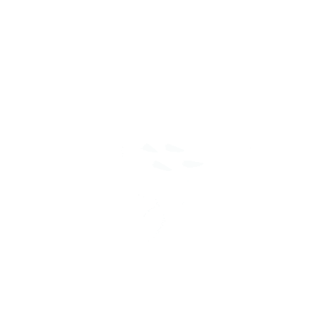 Illustration Bird Sticker by Friesblond