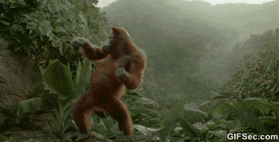 dance orangutan GIF