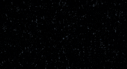 Haunting Sub Pop GIF by Sub Pop Records