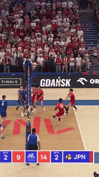Happy Celebration GIF by Volleyball World