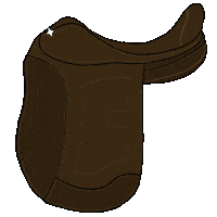 Reiten Sattel Sticker by RidersDeal