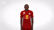 Red Bull Celebration GIF by FC Red Bull Salzburg