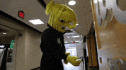 Wu_Shock wu wsu washyourhands handsanitizer GIF