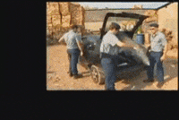 Hermes E Renato GIF