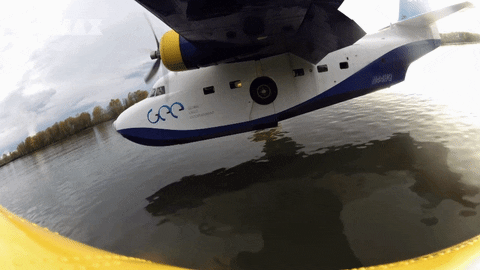 plane airplane GIF