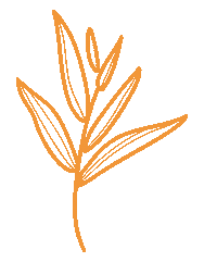 daidagostini flores flor daiane apanelabranding Sticker