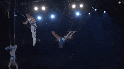 Fly Flying GIF by Ringling Bros. and Barnum & Bailey