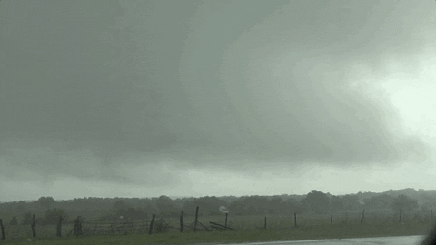stormchasing giphyupload GIF
