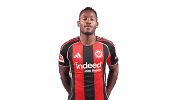 Eintracht Frankfurt No Sticker by Bundesliga