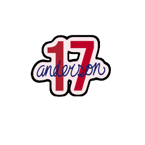 Nhl Anderson Sticker