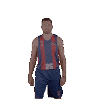 Celebrating Liga Endesa Sticker by ACB