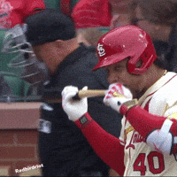 St Louis Cardinals GIF