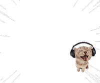 Youtube Instagram Sticker