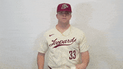 Baseball Roll Pards GIF by Lafayette Leopards