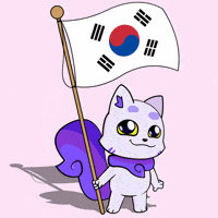 K-Pop Flag GIF by Lucky Kat Studios