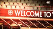 wswanderersfc reaction football celebration wanderers GIF