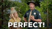 amy sedaris ah107 GIF by truTV’s At Home with Amy Sedaris