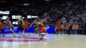 Liga Endesa Basketball GIF by ACB