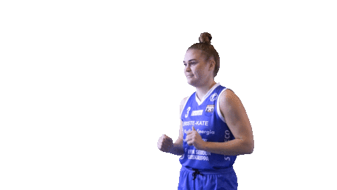 Sport Basketball Sticker by Basket_fi