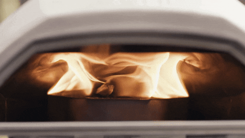 afilaction giphyupload GIF