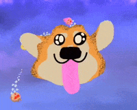 aRough1 adorable doggo corgi gravity GIF