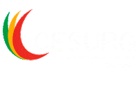 Cesurg 5 Estrelas Sticker by CESURG Sarandi