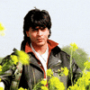 shahrukh khan GIF
