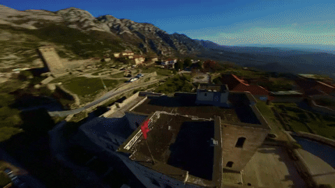 Eagle Albania GIF by D-Block Europe
