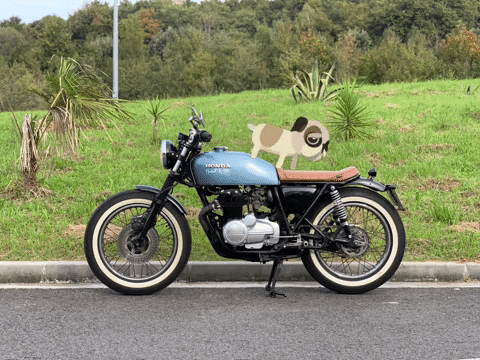 caferacersspirit  GIF