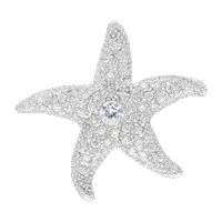 Star Brooch Sticker by Bellia WORLD