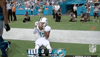 National Football League GIF by NFL