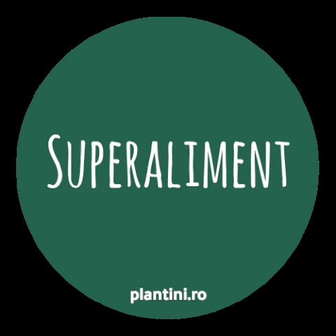 superfood superaliment GIF by Plantini