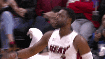Celebrate Miami Heat GIF by NBA