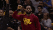 Lebron James Reaction GIF by NBA