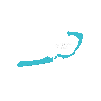 BlueSafariSeychelles afc islands atoll alphonse island Sticker