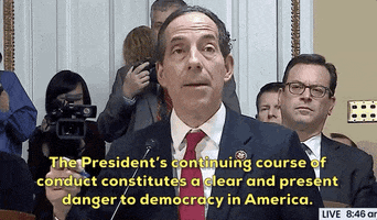 news impeachment jamie raskin articles of impeachment house rules committee GIF
