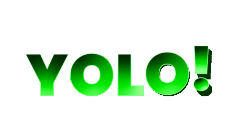 jagadishramesh giphyupload yolo Sticker