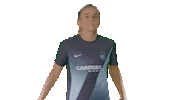 Sport Team Sticker by National Women's Soccer League