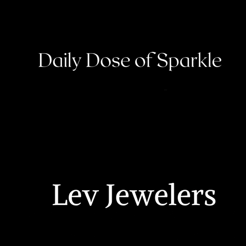 Lev GIF by levjewelers