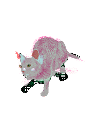 cat STICKER