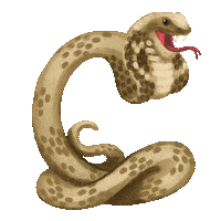 AlanaMcCarthyArt lettering snake c venom Sticker