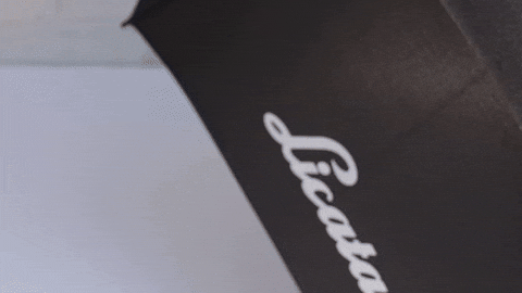 majorworld giphygifmaker GIF